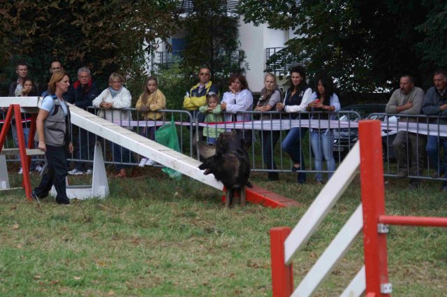 foire-haricots 2011-09-17et18